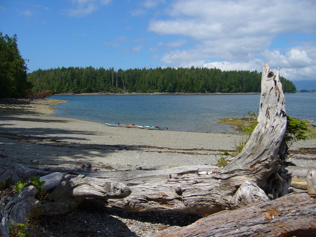 203 At Water'S Edge Apartment Ucluelet Room photo